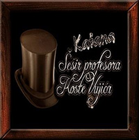 sesir-profesora-koste-vujica